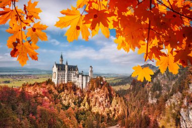 Bavyera, Almanya Neuschwanstein Şatosu ile sonbahar yaprakları