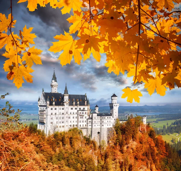 Замок Нойшванштайн с осенними листьями в Баварии, Германия — стоковое фото