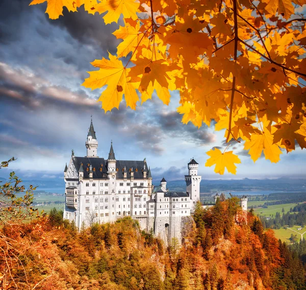 Château de Neuschwanstein avec feuilles d'automne en Bavière, Allemagne — Photo