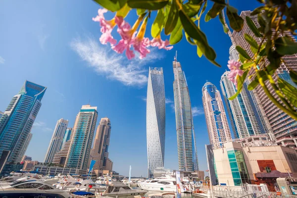 Dubai Marina con fiori a Dubai, Emirati Arabi Uniti — Foto Stock