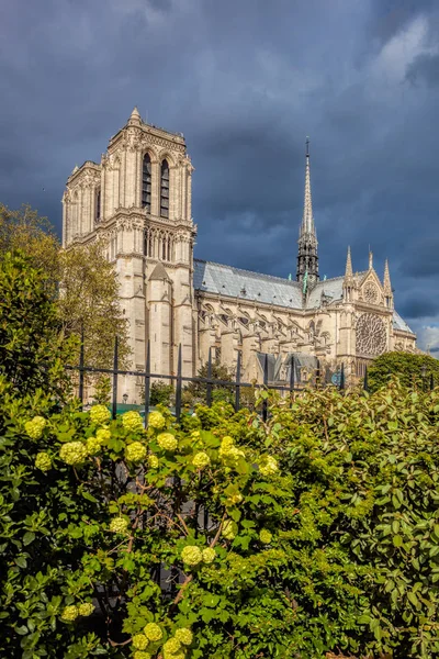 Notre-Dame-Kathedrale im Frühling in Paris, Frankreich — Stockfoto