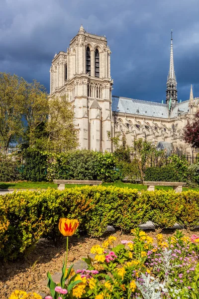 Notre Dame Katedrali Paris, Fransa'da bahar süre boyunca — Stok fotoğraf