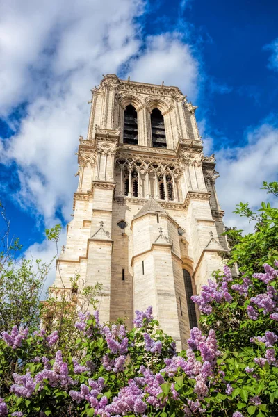 Notre-Dame kathedraal tijdens de lentetijd in Parijs, Frankrijk — Stockfoto