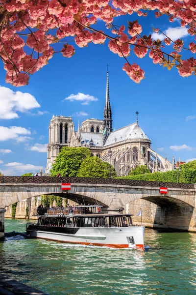 París, Catedral de Notre Dame con barco en el Sena, Francia — Foto de Stock