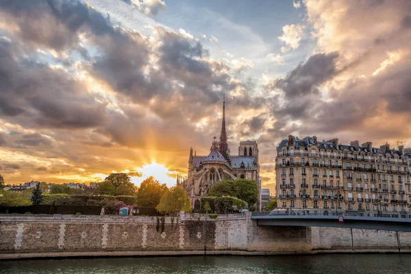 Catedral de Notre Dame contra el colorido atardecer durante la primavera en París, Francia — Foto de Stock