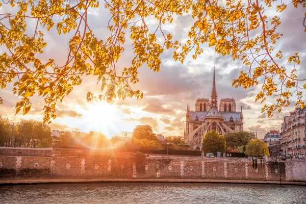 Catedral de Notre Dame contra el colorido atardecer durante la primavera en París, Francia —  Fotos de Stock