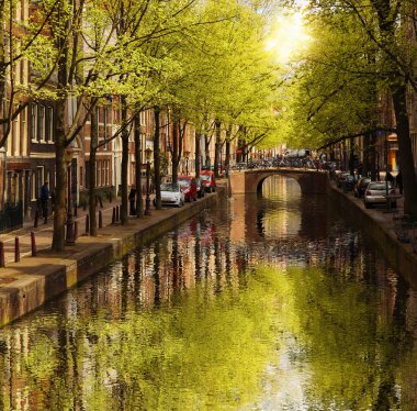 Amsterdam merkezinde, Holland yeşil kanal