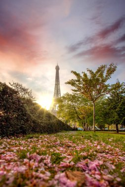 coche de carreras de juguete rojo con una raya