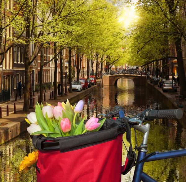 Famosa Amsterdã com cesta de tulipas coloridas contra canal na Holanda — Fotografia de Stock