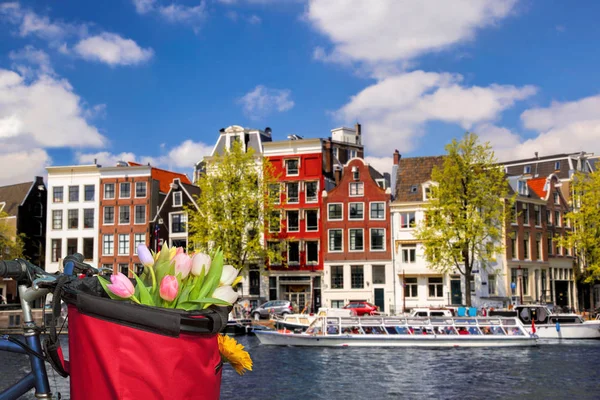 Beroemde Amsterdam met mandje met kleurrijke tulpen tegen kanaal in Nederland — Stockfoto