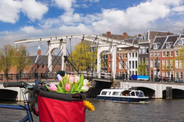 Διάσημο Άμστερνταμ με καλάθι με πολύχρωμες τουλίπες ενάντια στο κανάλι στην Ολλανδία — Φωτογραφία Αρχείου