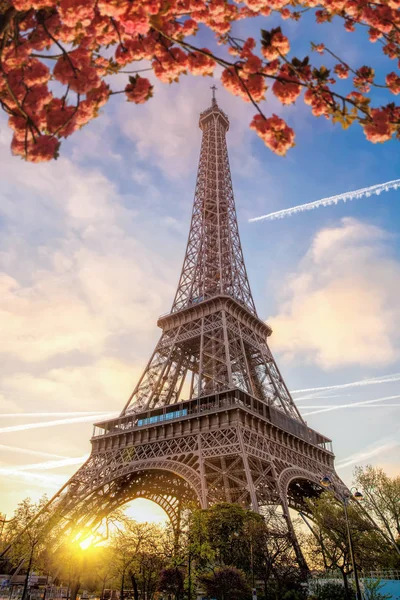 Eiffel Tower during spring time in Paris, France — Stock Photo, Image