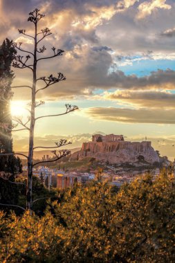 Parthenon Tapınağı renkli günbatımı karşı akropolü Atina, Yunanistan