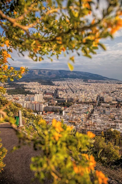 Large city of Athens with spring trees in Greece — Stock Photo, Image