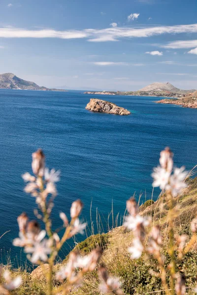 Kaap Sounion met bloemen tijdens de lentetijd in Griekenland — Stockfoto