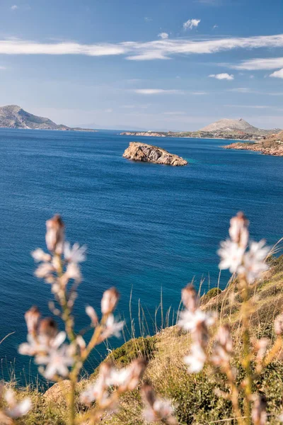 Cape Sounion con fiori durante il periodo primaverile in Grecia — Foto Stock