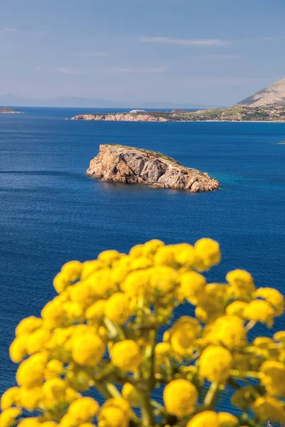 Cape Sounion with flowers during spring time in Greece — Stock Photo, Image
