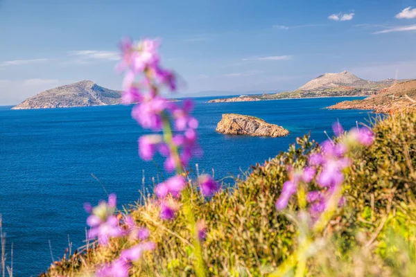 Cape Sounion with flowers during spring time in Greece — Stock Photo, Image