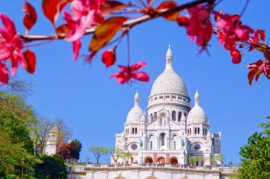 Ünlü Sacré Coeur Katedrali Paris, Fransa'da bahar süre boyunca