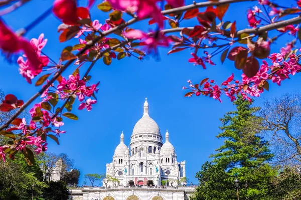 Híres Sacre Coeur katedrális alatt tavasszal, Paris, Franciaország — Stock Fotó