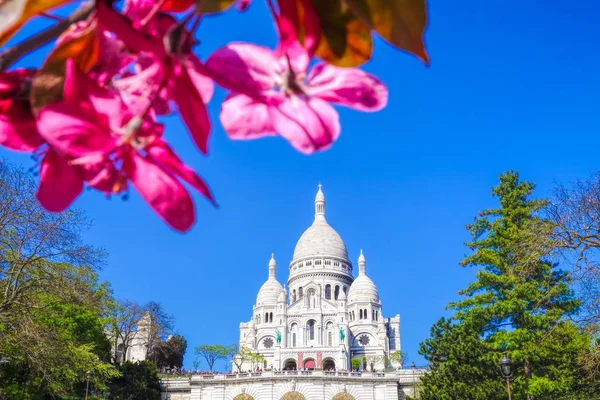 Híres Sacre Coeur katedrális alatt tavasszal, Paris, Franciaország — Stock Fotó