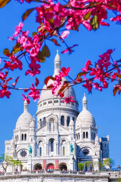 Berühmte Sacre-Coeur-Kathedrale im Frühling in Paris, Frankreich — Stockfoto