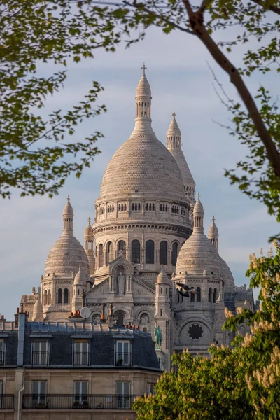 Famous Sacre Coeur Cathedral during spring time in Paris, France — Stock Photo, Image