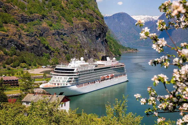 Bahar zamanı fiyort, Flam, Norveç gemisiyle cruise ile