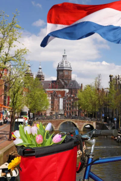 Beroemde Amsterdam met mandje met kleurrijke tulpen tegen kanaal in Nederland — Stockfoto