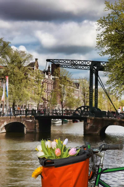 Berühmte amsterdam mit korb voller bunter tulpen gegen alte brücke in holland — Stockfoto