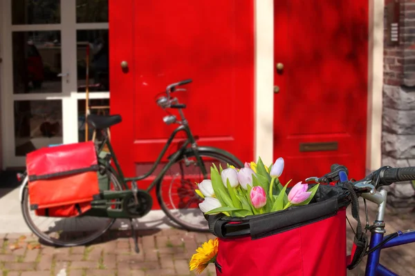 Berühmte amsterdam mit korb voller bunter tulpen gegen haus in holland — Stockfoto