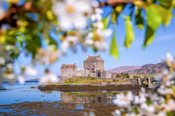 O Castelo Eilean Donan com árvore de primavera nas Terras Altas da Escócia — Fotografia de Stock