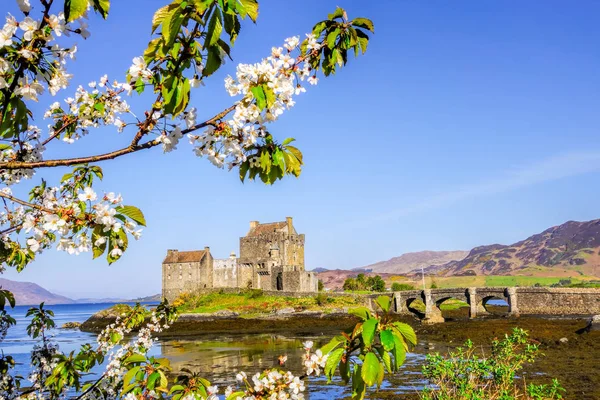 O Castelo Eilean Donan com árvore de primavera nas Terras Altas da Escócia — Fotografia de Stock