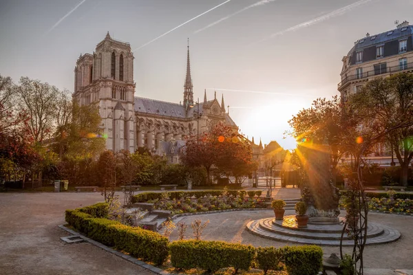 Parijs, de kathedraal van de Notre Dame tegen zonsopgang in Frankrijk — Stockfoto