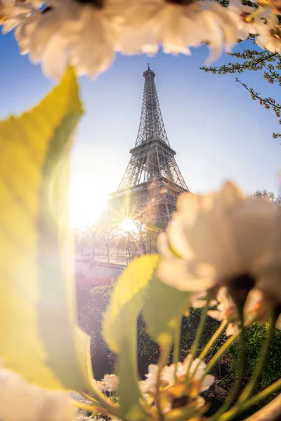 Wieża Eiffla w czasie wiosny w Paryż, Francja — Zdjęcie stockowe