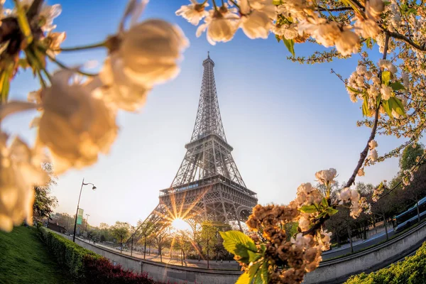 Ейфелева вежа під час весна в Парижі — стокове фото