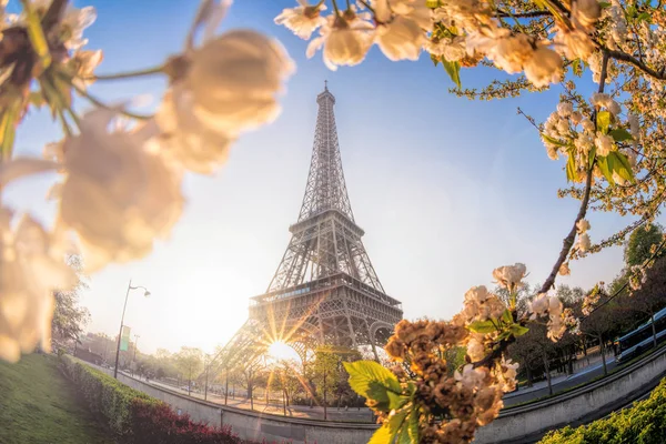 파리, 프랑스에서 봄 시간 동안 에펠 탑 — 스톡 사진