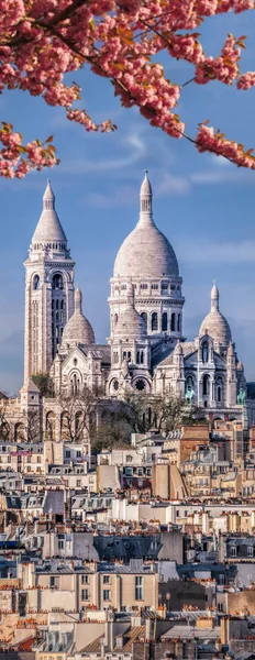 Berühmte Sacre-Coeur-Kathedrale im Frühling in Paris, Frankreich — Stockfoto