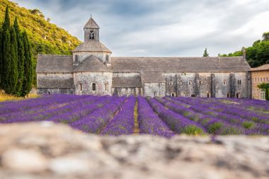 Senanque Manastırı Provence, Gordes, Fransa ile lavanta alanlar