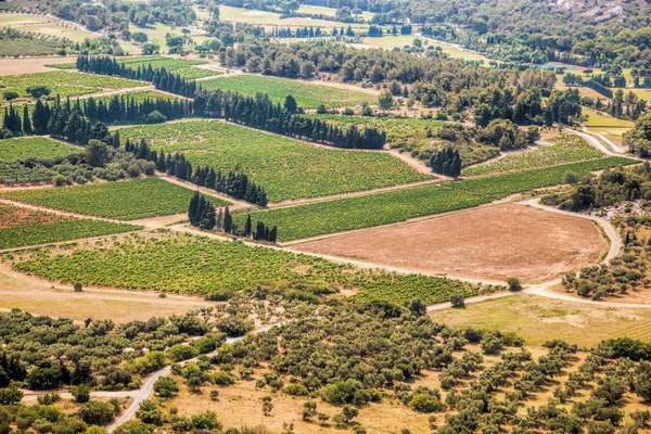 Vägarna mellan fält i Provence, Frankrike — Stockfoto