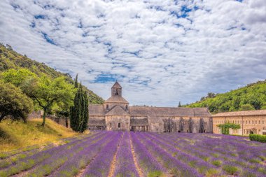 Lavender fields with Senanque monastery in Provence, Gordes, France clipart