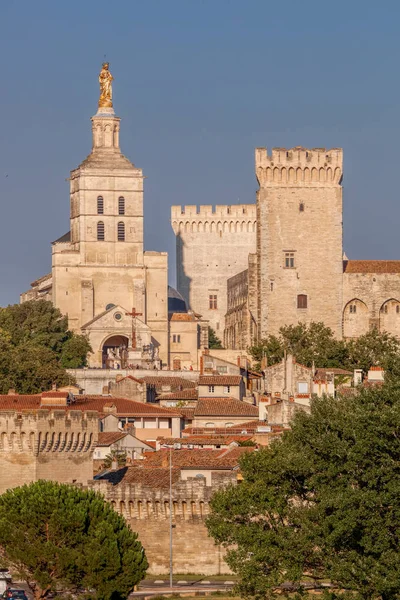 Avignone centro storico con Palazzo dei Papi in Provenza, Francia — Foto Stock