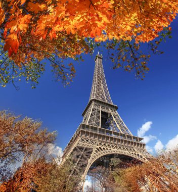Paris, Fransa 'da sonbahar yapraklı Eyfel Kulesi
