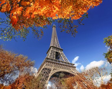 Paris, Fransa 'da sonbahar yapraklı Eyfel Kulesi