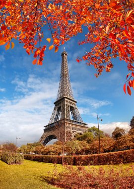 Paris, Fransa 'da sonbahar yapraklı Eyfel Kulesi