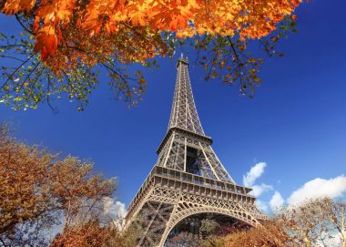 Paris, Fransa 'da sonbahar yapraklı Eyfel Kulesi