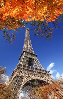Paris, Fransa 'da sonbahar yapraklı Eyfel Kulesi