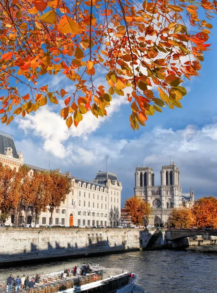 Kathedraal van de Notre Dame met herfst verlaat Parijs, Frankrijk — Stockfoto