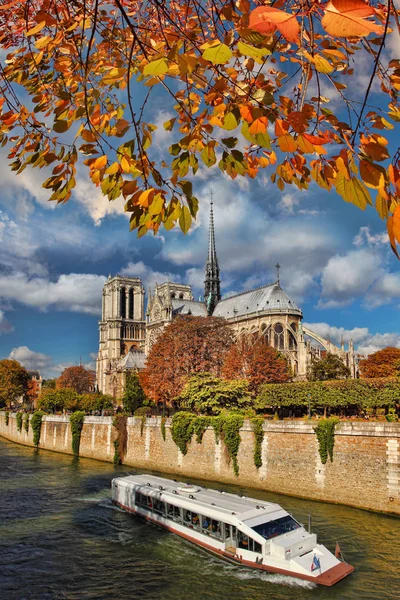 Notre Dame Kathedrale mit Herbstblättern Paris, Frankreich — Stockfoto