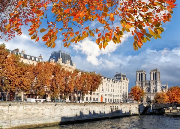 Notre Dame Kathedrale mit Herbstblättern Paris, Frankreich — Stockfoto